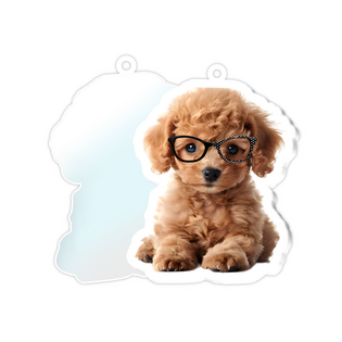 กระจกอะคริลิต